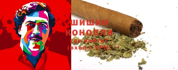 спиды Бородино