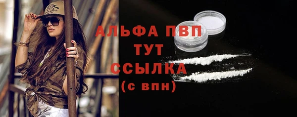 спиды Бородино