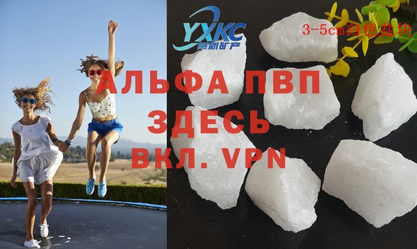 спиды Бородино