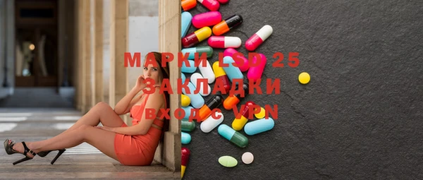 спиды Бородино
