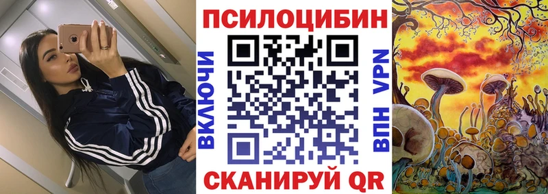 Галлюциногенные грибы Psilocybe  Суворов 